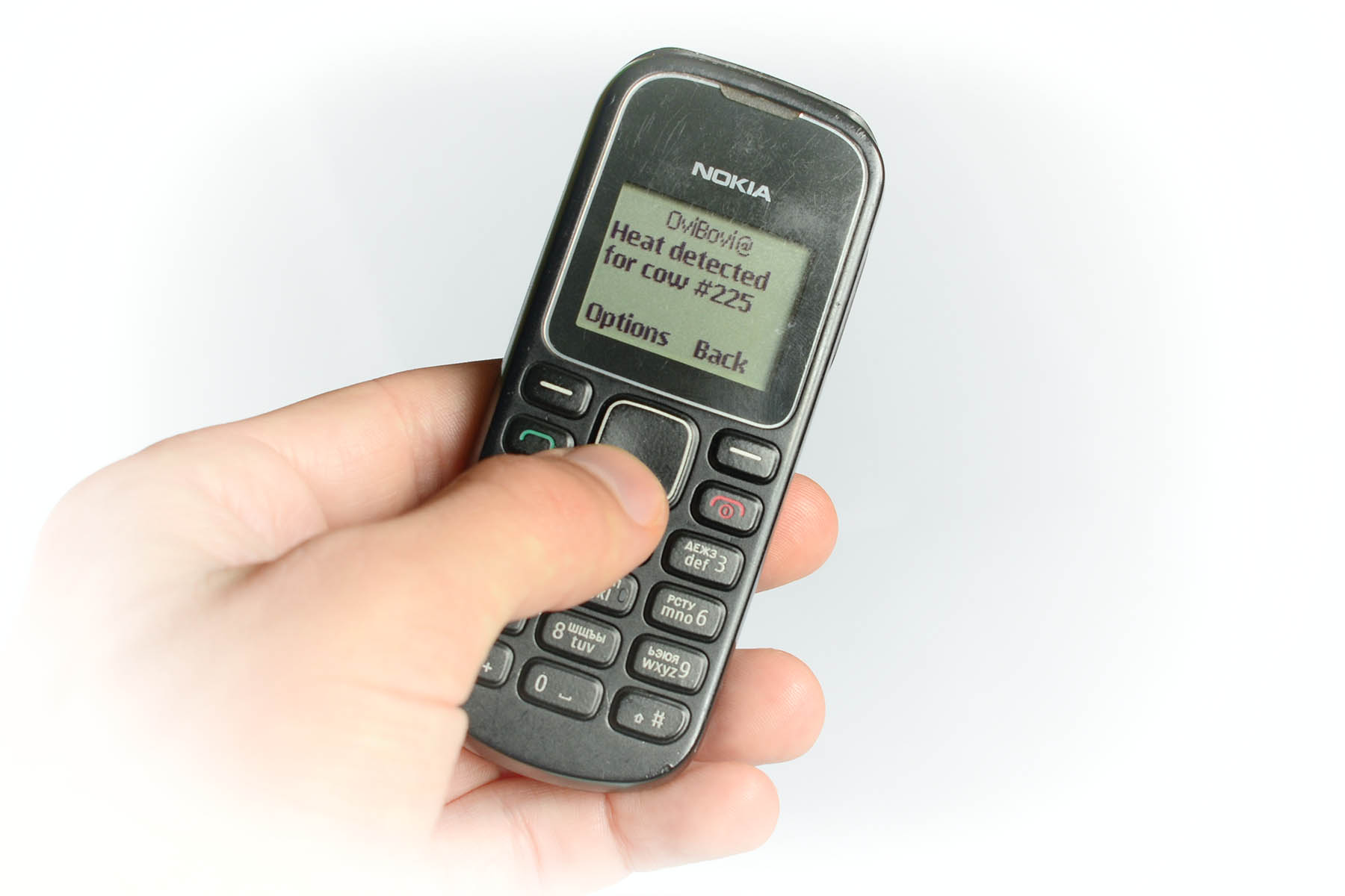 Automatic SMS alert Automatic cow heat alert received via SMS