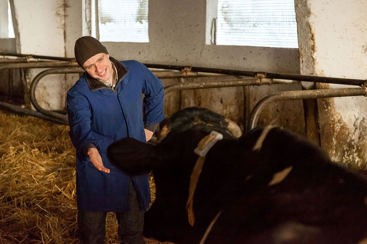 Datalogging at Teplivody dairy farm while development and testing of Ovi-bovi system