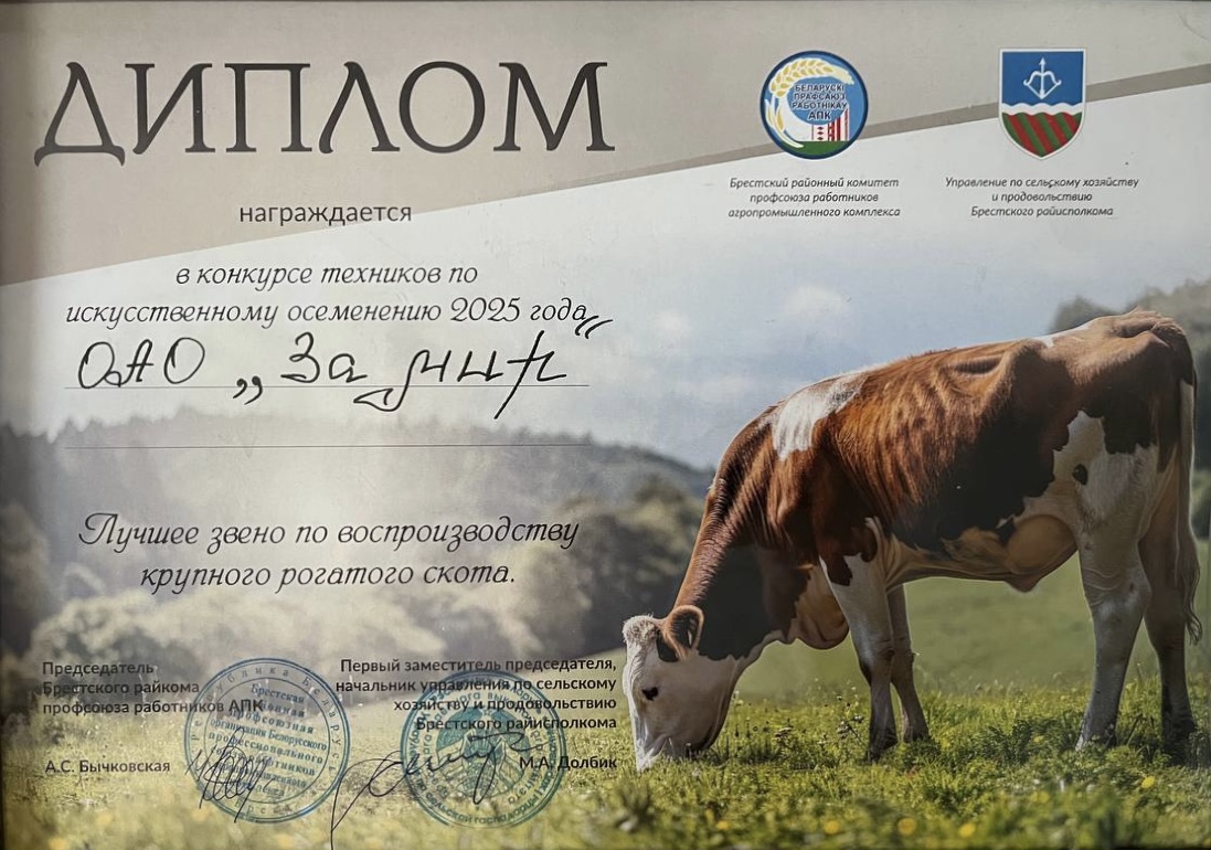 Диплом одного из наших клиентов о победе в районном конкурсе